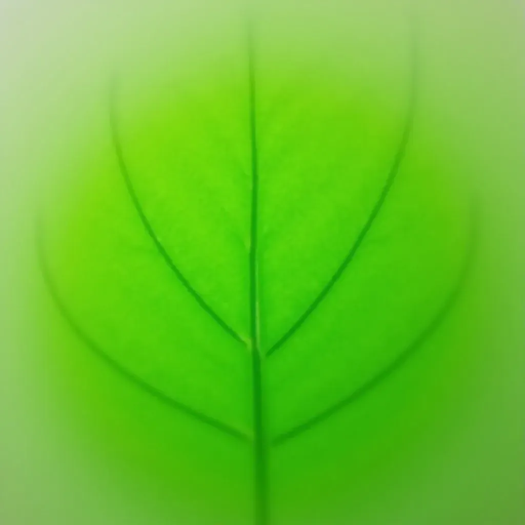 多肉植物 マーガレットレッピン 育て方・増やし方・管理方法を完全ガイド